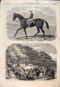 Old Antique Print Goodwood Races Race Horse Lupin Dollar Ladies Racehorse