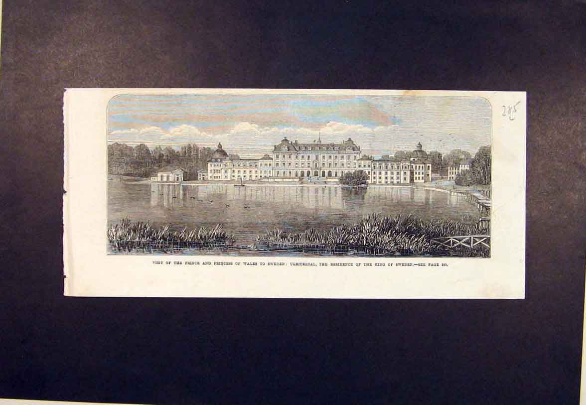 Original Old Antique Print Sweden Ulricksdal Prince Wales King Princess 1864