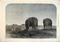 Original Old Antique Print Ming Dynasty Tomb Nankin Emperor Elephant Elephants