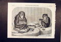 Old Antique Print Chimpanzee Orang-U-Tang Monkey Zoo Regent'S Park London
