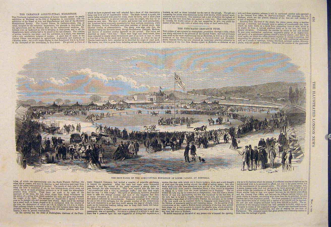 Original Old Antique Print Agricultural Exhibitio Canada Montreal Show Yard 1865