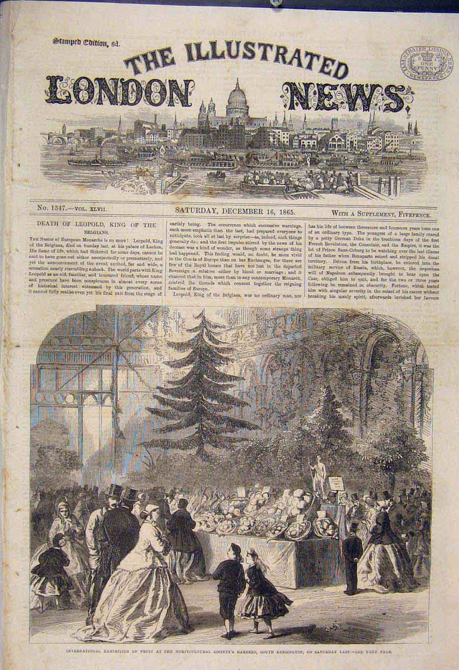 Original Old Antique Print International Exhibition Fruit Horticultural Gardens