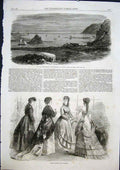 Original Old Antique Print Nelson Zealand Harbour Breakwater Paris Fashion 1868