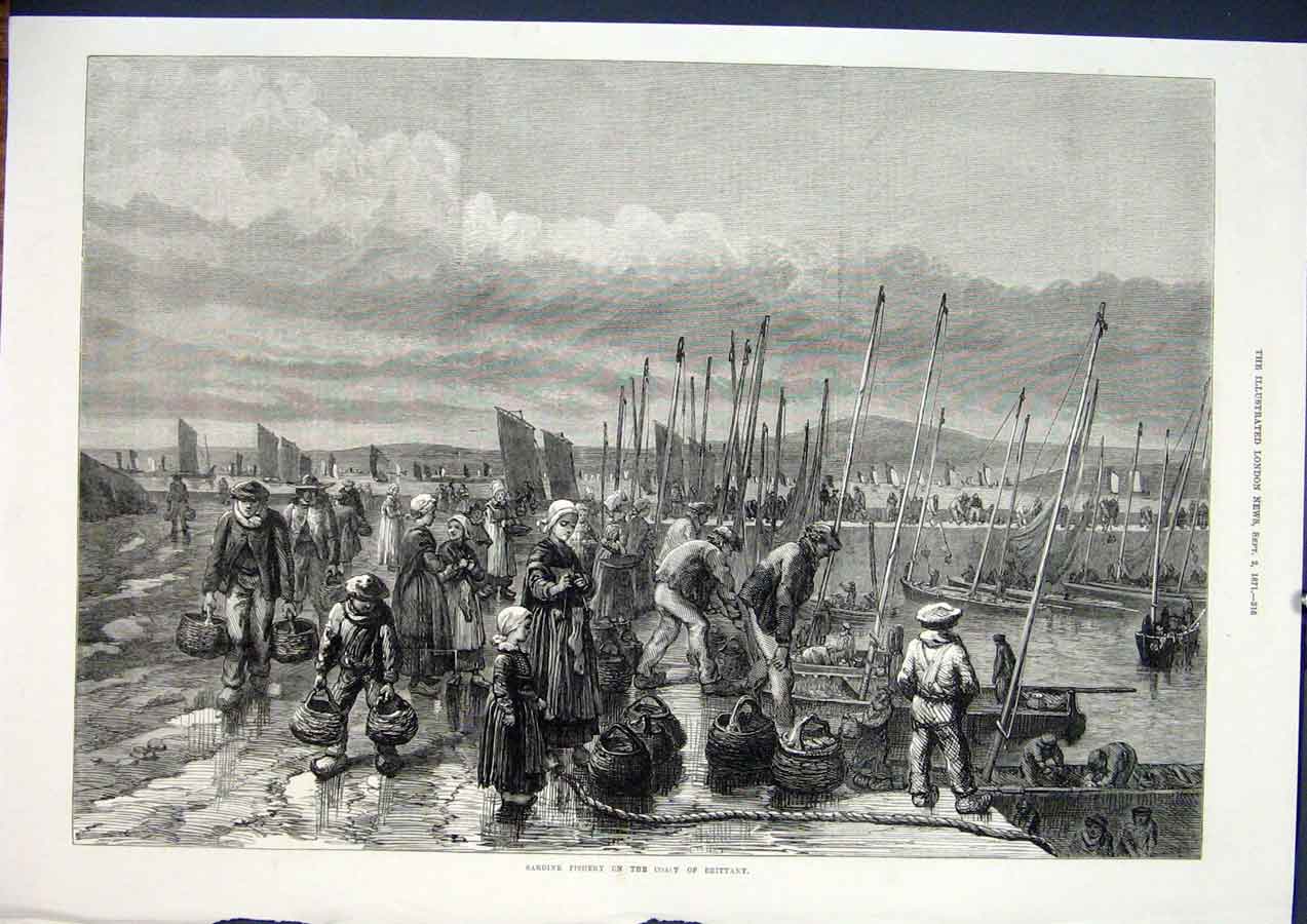 Original Old Antique Print Sardine Fishery Brittany France Fish 1871 Victorian