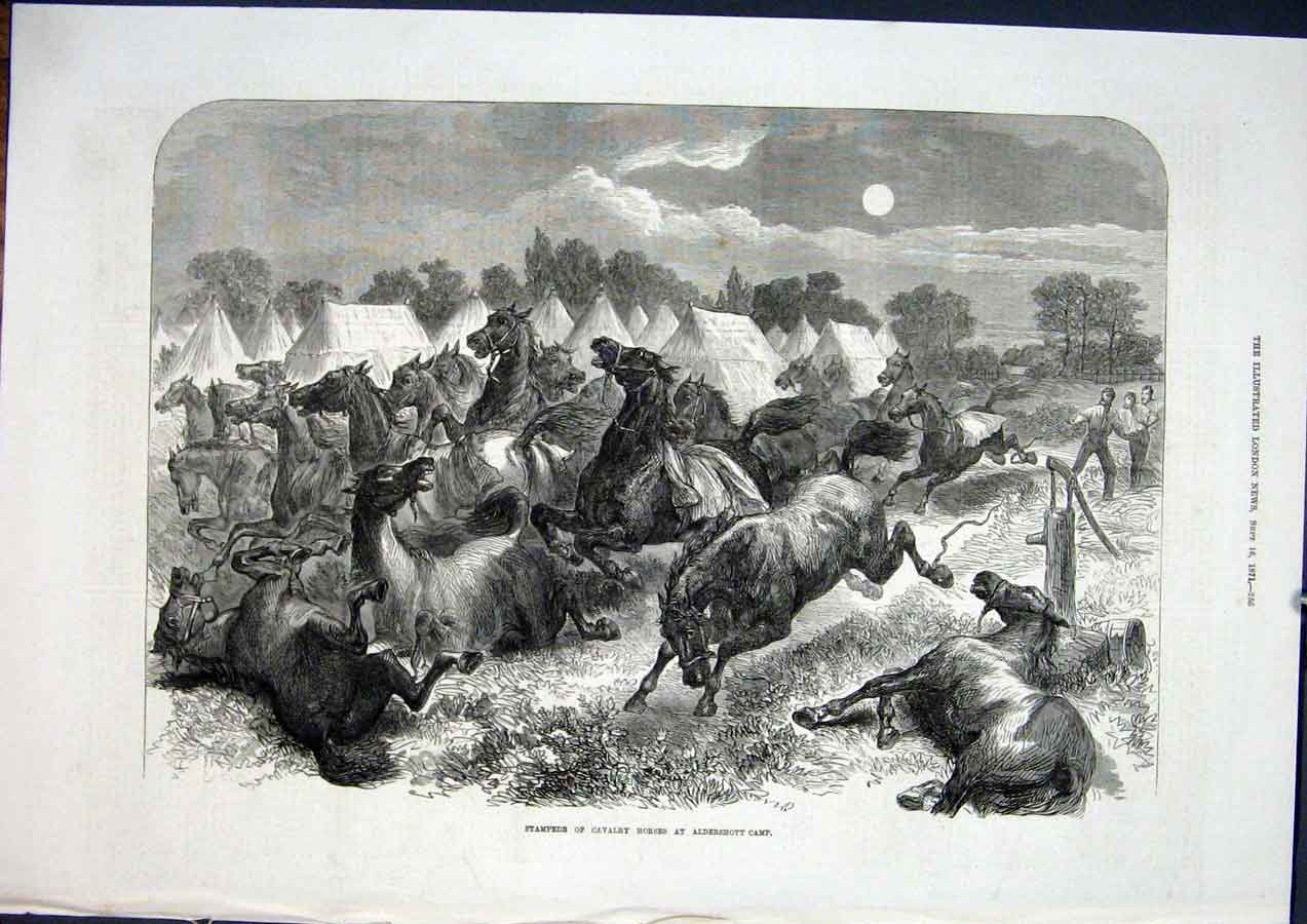 Original Old Antique Print Cavalry Horses Aldershott Stampede Fine Art 1871 19th
