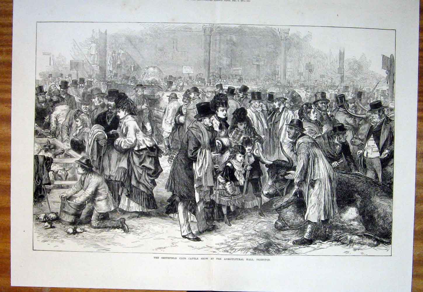 Original Old Antique Print Smithfield Club Cattle Show Islington 1871 Victorian