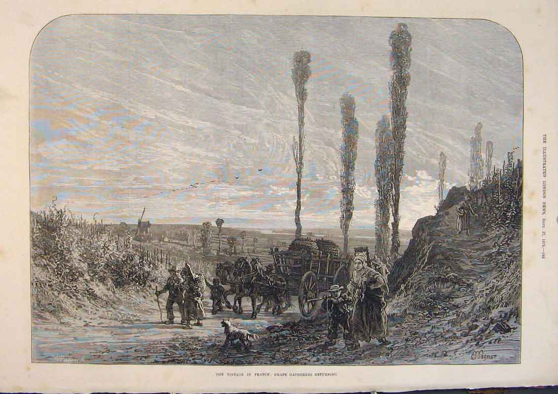 Original Old Antique Print France Grape Gatherers Harvest 1873 19th