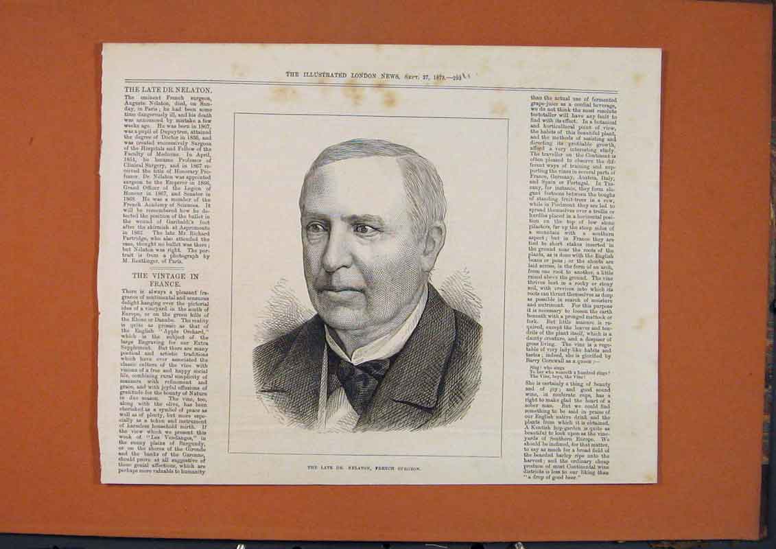 Original Old Antique Print Portrait Dr Nelaton French Surgeon 1873 Victorian