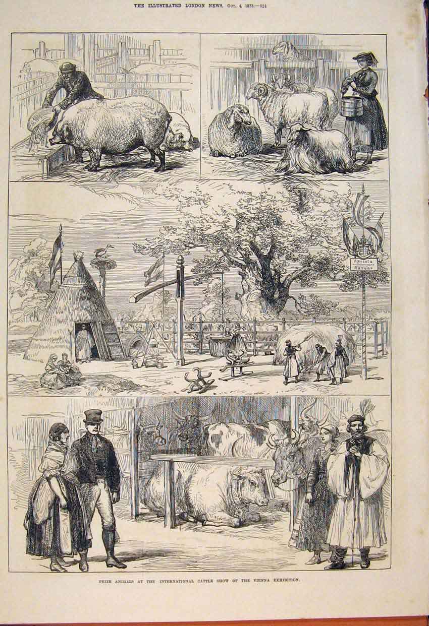 Original Old Antique Print Prize Animalsinternational Cattle Show Vienna 1873