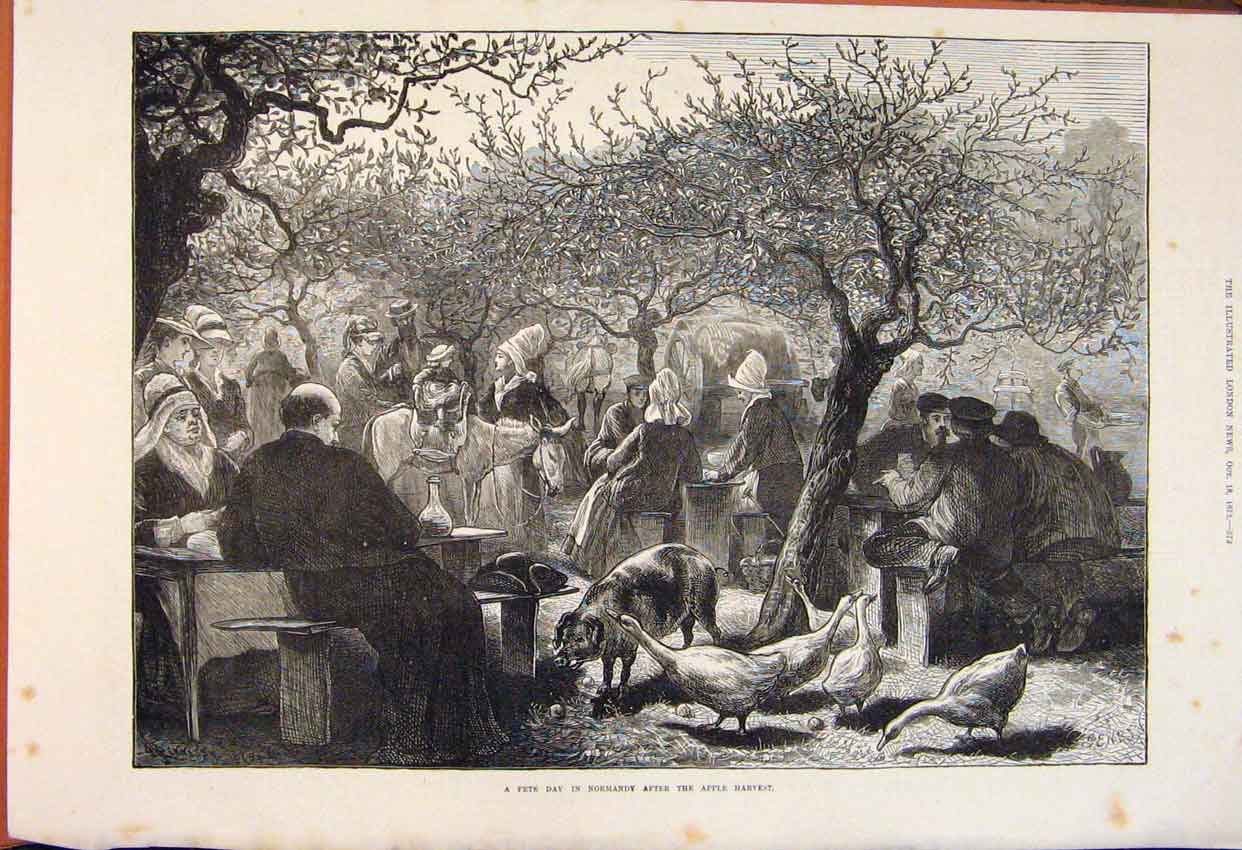Old Antique Print Fete Day Normandy Apple Harvest Geese Pigs Orchard 1873 19th
