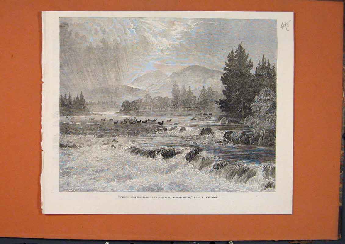 Old Antique Print Waterlow Forest Glentanner Aberdeenshire Scotland 1873 19th
