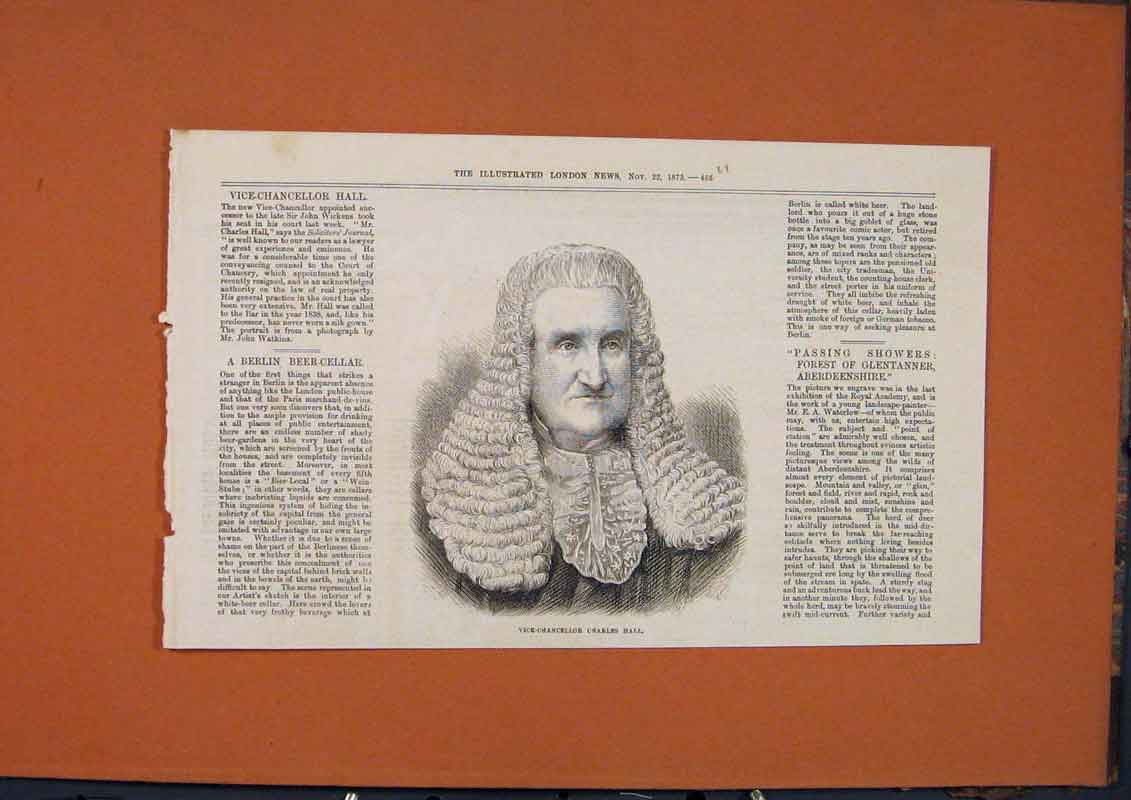 Original Old Antique Print Portrait Charles Hall Vice-Chancellor 1873 Victorian