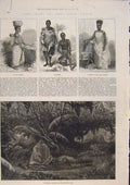 Original Old Antique Print War GCoast Africa Ashantees M'Neill Coaling 1873