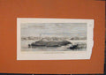 Original Old Antique Print Cape Palms Harper Town Africa West Coast 1873 19th