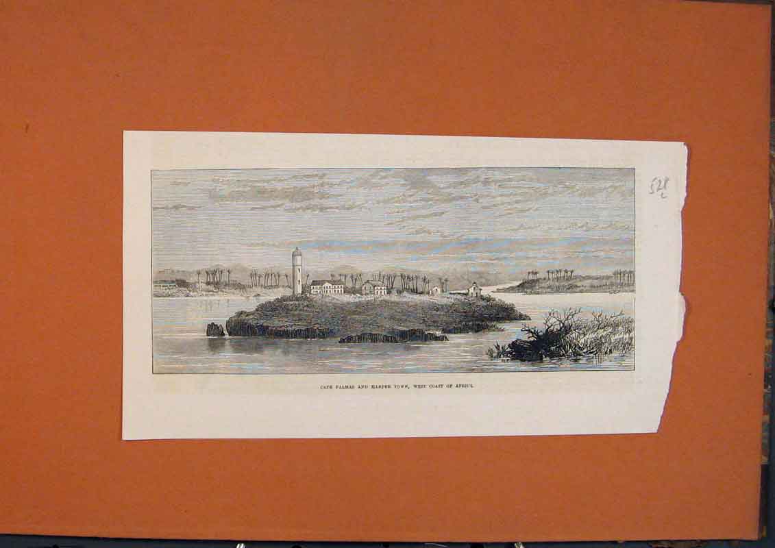 Original Old Antique Print Cape Palms Harper Town Africa West Coast 1873 19th