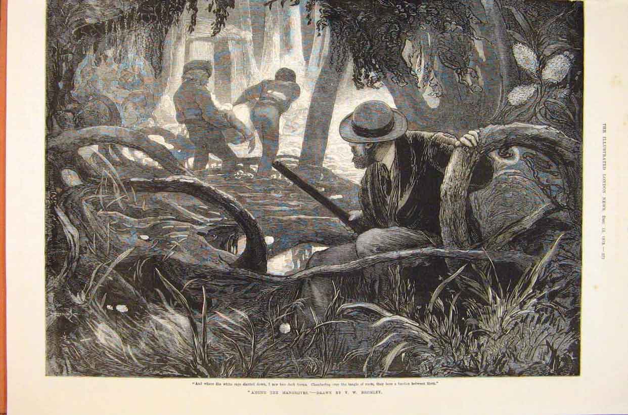 Original Old Antique Print Mangrove Swamps Bromley People 1873 19th