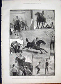 Old Antique Print Military Tournament Agricultural Hall Cambridge Asylum