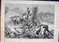 Original Old Antique Print American Husbandry Pumkins Husking Maize America Farm