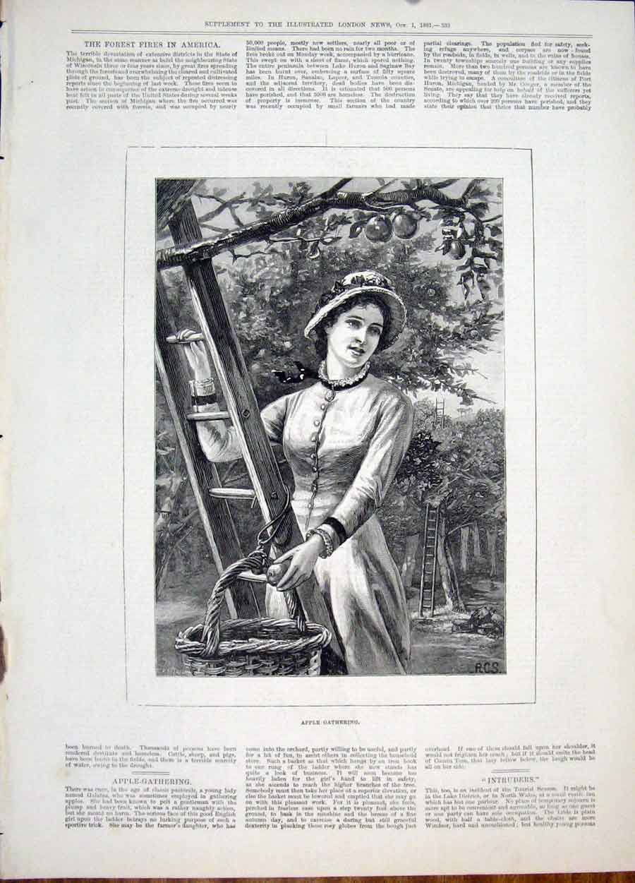 Original Old Antique Print Apple Gathering Galatea Fine Art 1881 19th