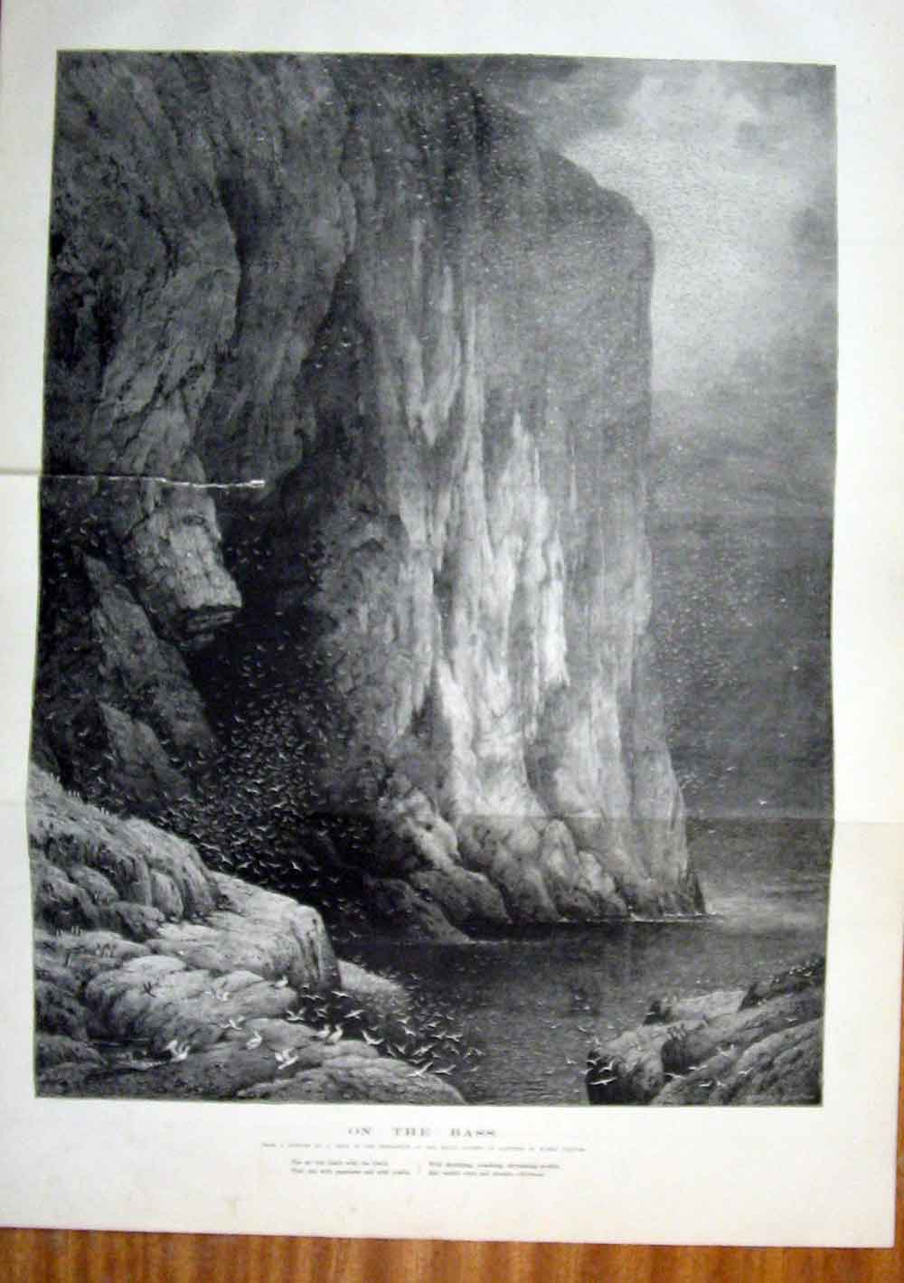 Original Old Antique Print Bass Read Exhibition Painters Water Fine Art 1881