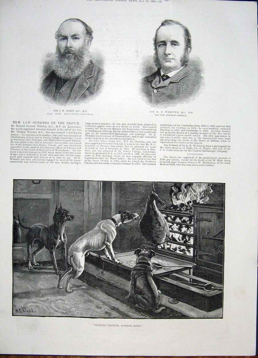 Original Old Antique Print Portrait Gorst Webster Dogs Venture Fine Art 1885