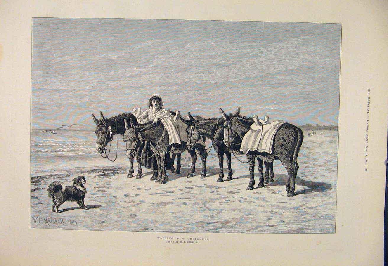 Original Old Antique Print Donkey Donkeys Beach Seaside Marshall Fine Art 1885