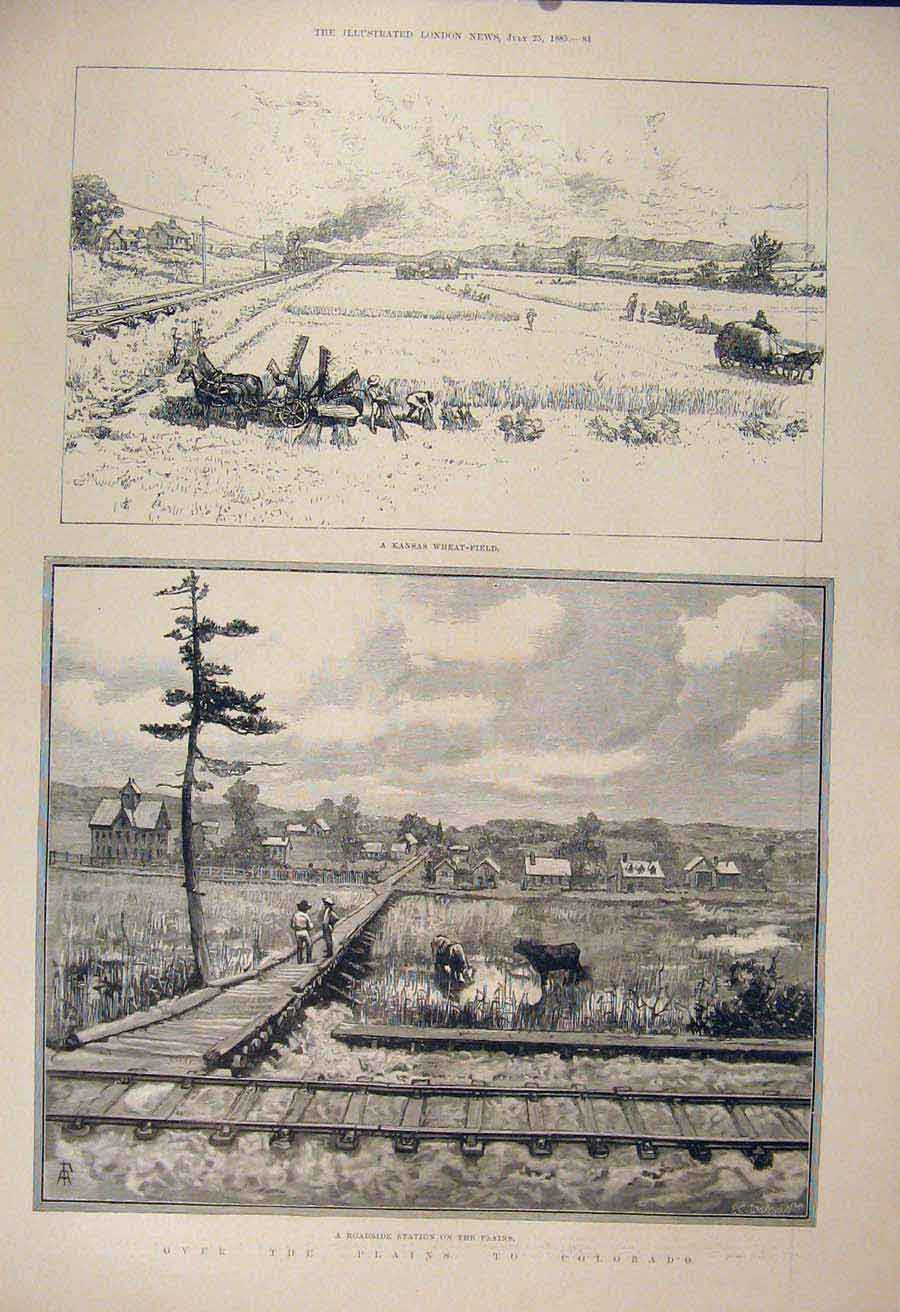 Old Antique Print Kansas Wheat Field Station Plains America Colorado Usa
