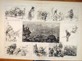 Original Old Antique Print Norway Reindeer Hunt Hunting Shooting Norwegian 1885
