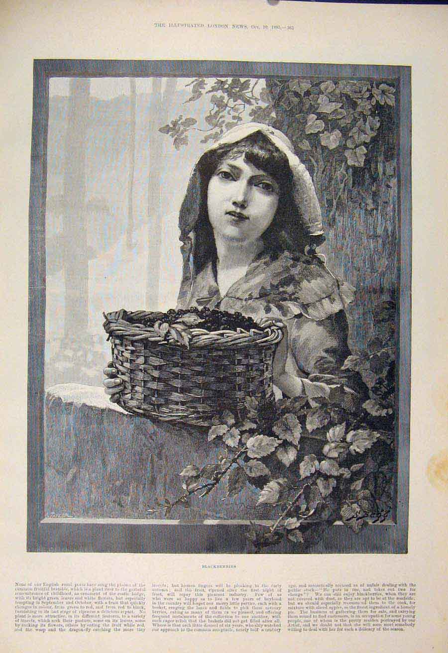 Original Old Antique Print Blackberries Girl Lady Basket Fruit Fine Art 1885