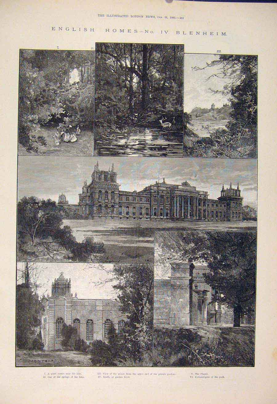 Old Antique Print English Homes Blenheim Glyme Palace Chapel Garden 1885 19th
