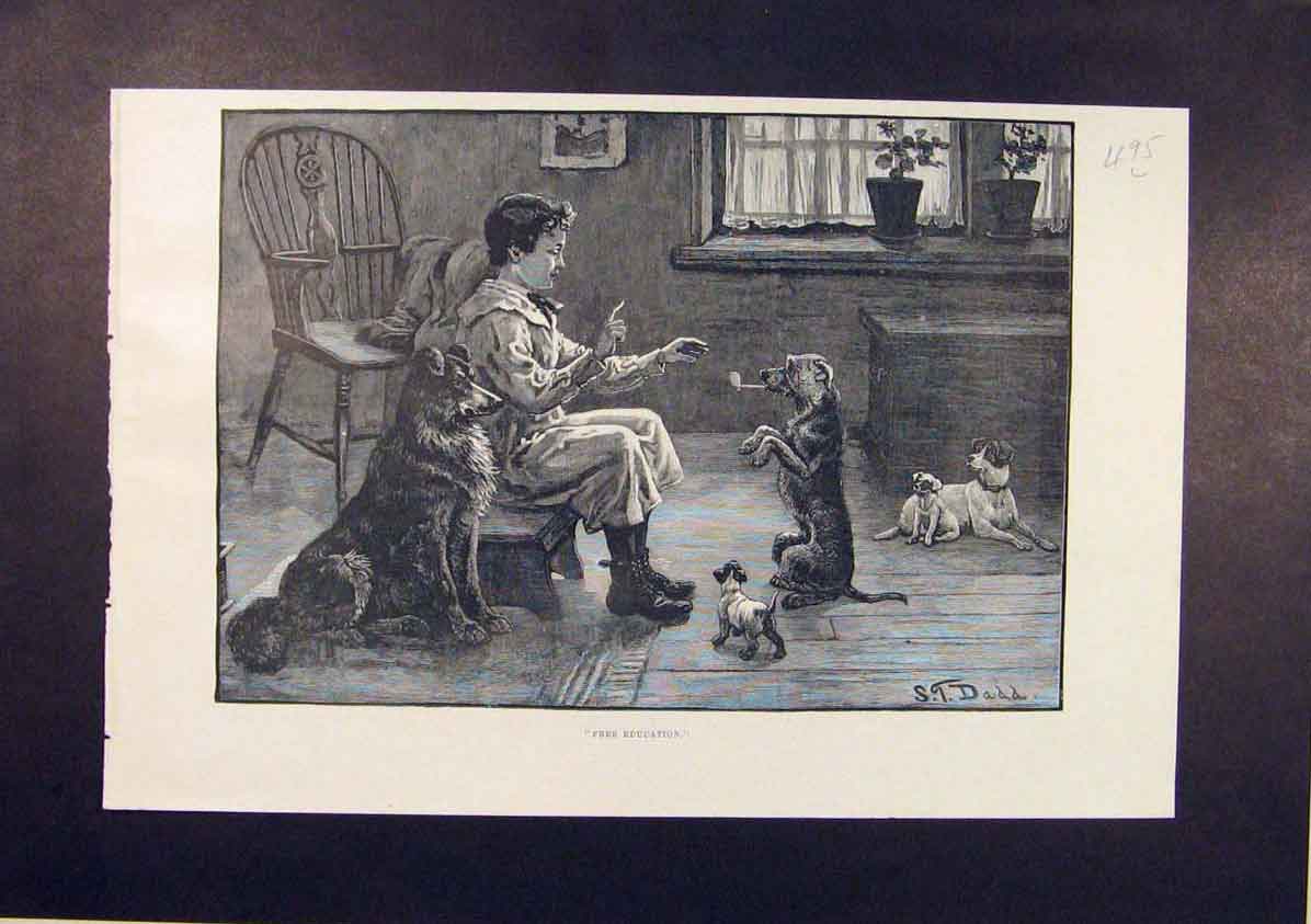 Original Old Antique Print Free Education Child Dog Dogs Dadd Puppy 1885 19th