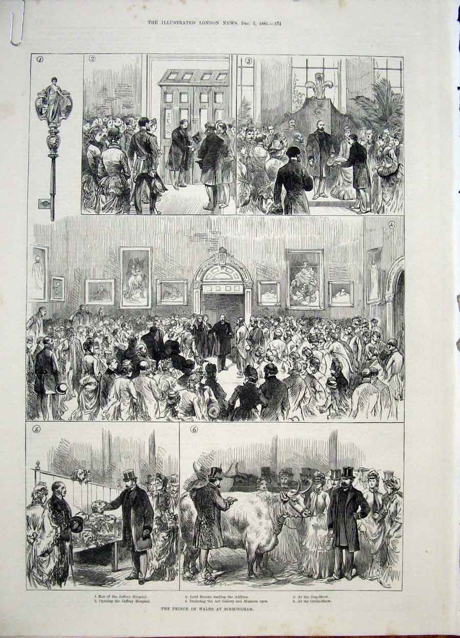 Old Antique Print Birmingham Prince Wales Show Preston Agricultural 1885 19th