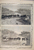 Old Antique Print Union Discretion Valour Dog Pigs Berkley Fine Art 1885 19th