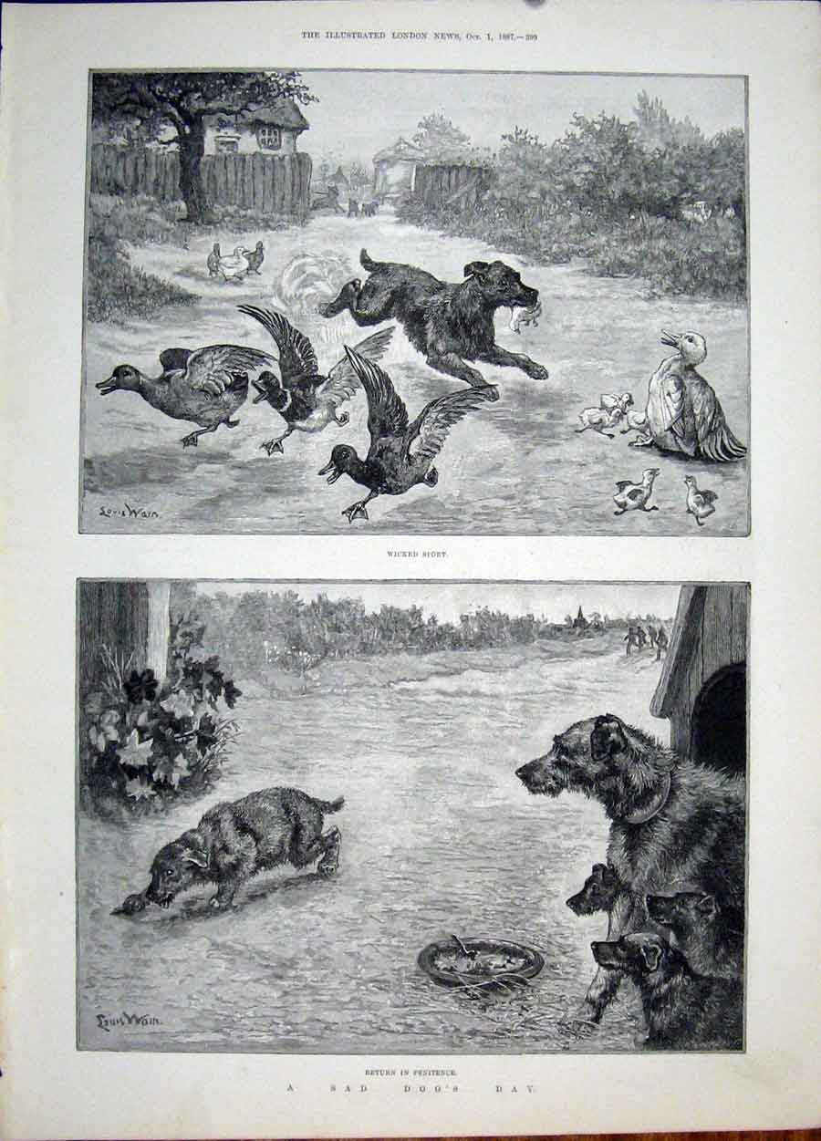 Original Old Antique Print Sad Dog Day Wain Ducks Duckling Puppy Fine Art 1887