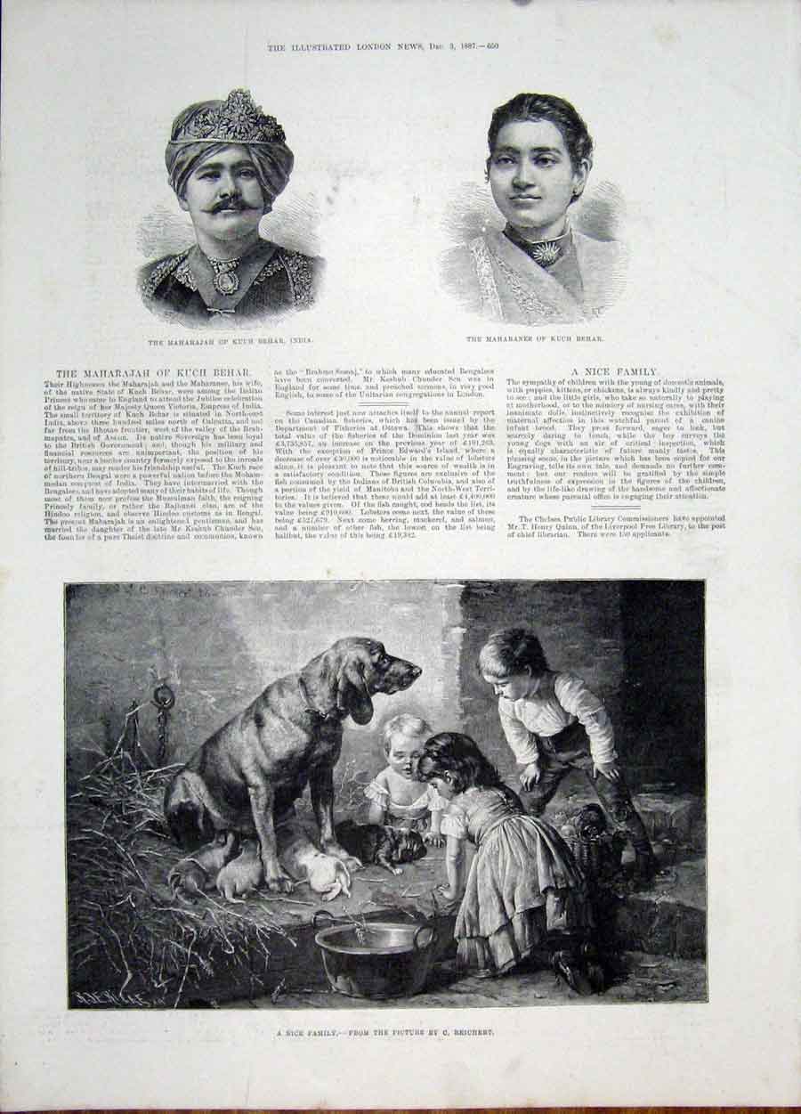 Old Antique Print Reichert Dog Children Puppies Portrait Kuch Behar India