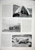 Original Old Antique Print Polar Expedition North Pole Jackson Nansen