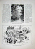 Original Old Antique Print Osborne Queen'S Road Gamble Institute St Helen'S 1896