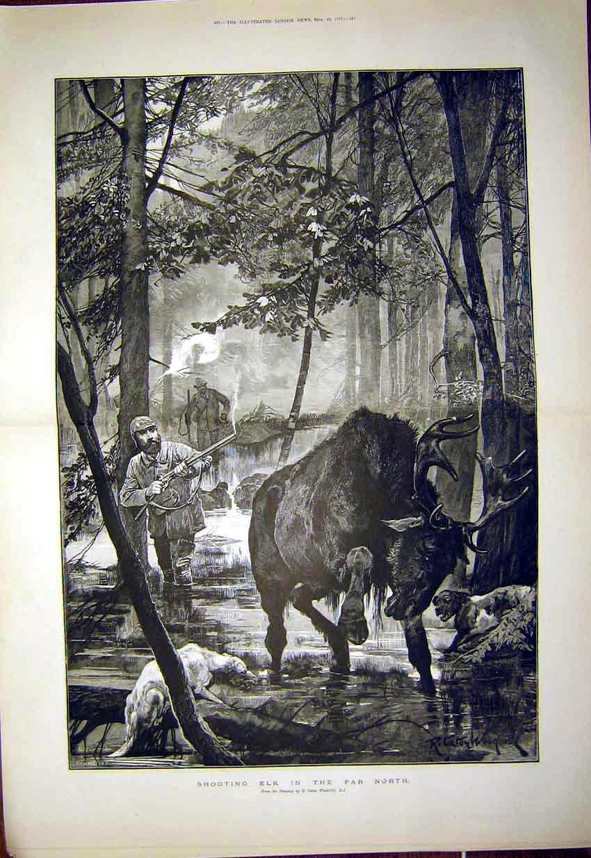 Original Old Antique Print Elk Shooting Hunt Animal Woodville Dogs 1897 19th