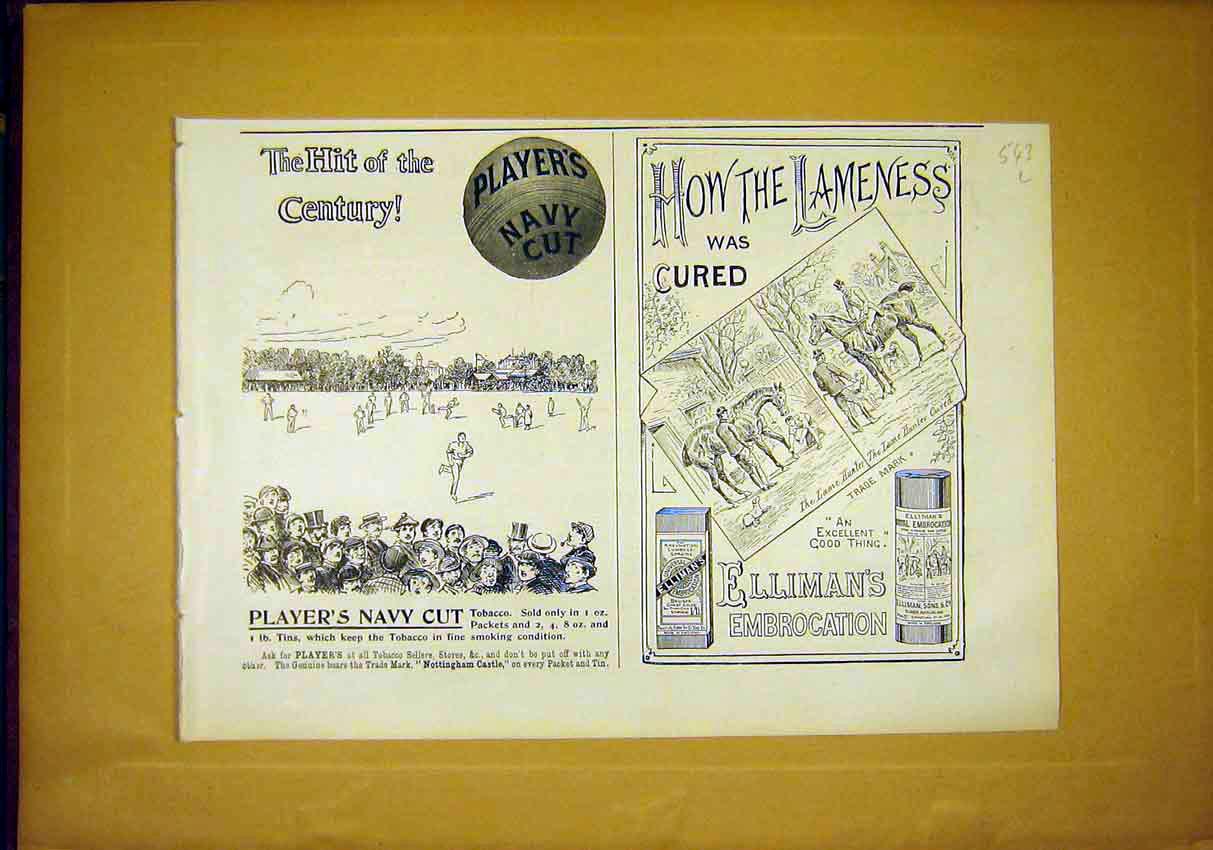 Original Old Antique Print Advert Players Tobacco Ellimans Embrocation 1897