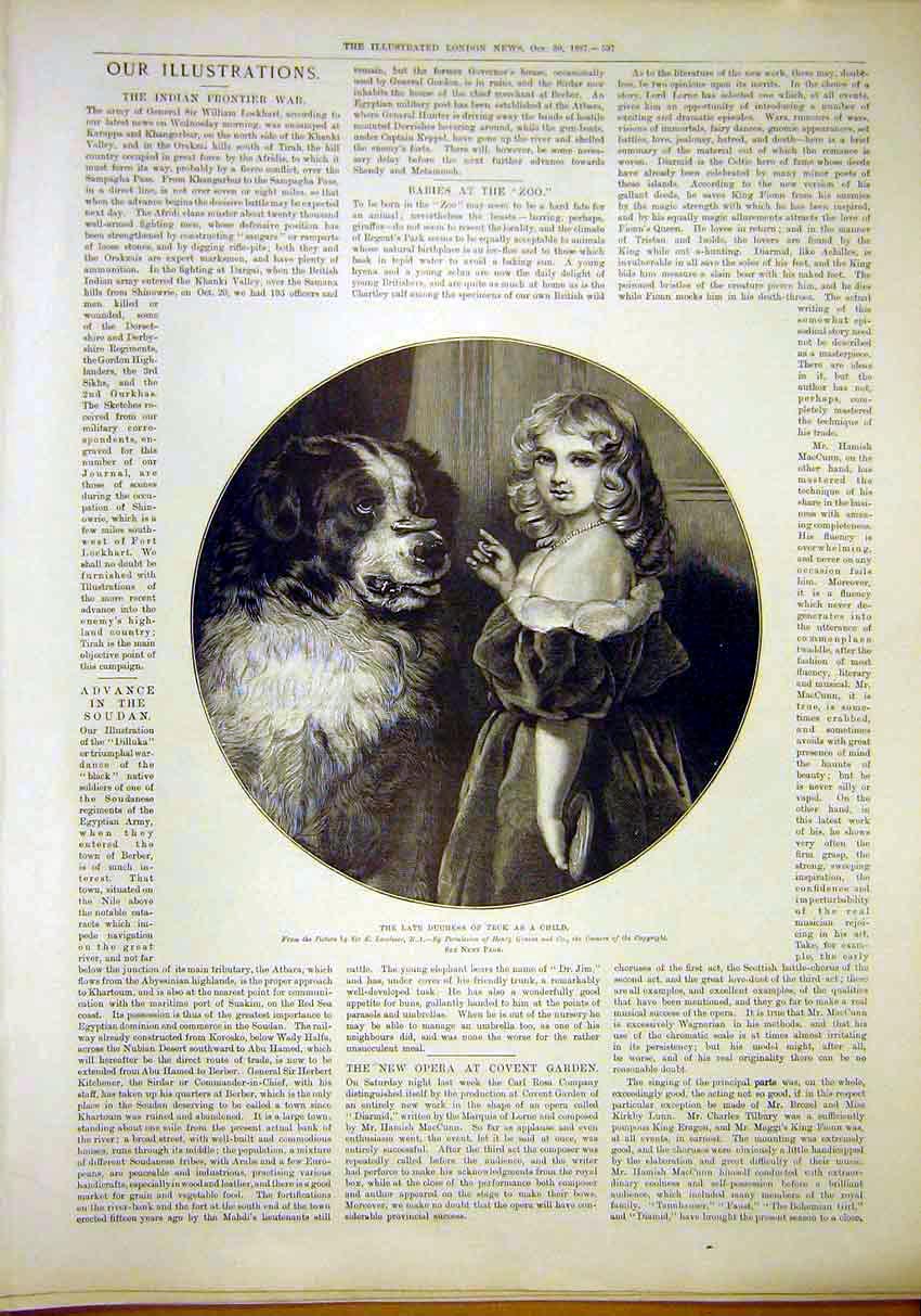 Original Old Antique Print Duchess Teck Child Portrait Dog Fine Art 1897 19th