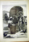Original Old Antique Print South Africa Soper Sketch Idyll Carriage Horse 1897