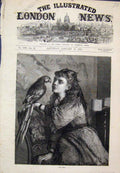 Original Old Antique Print Our Poll Girl With Parrot 1872 19th Century