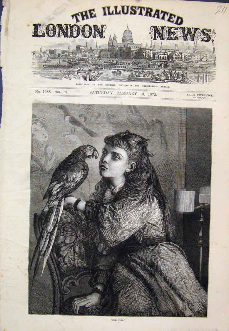 Original Old Antique Print Our Poll Girl With Parrot 1872 19th Century
