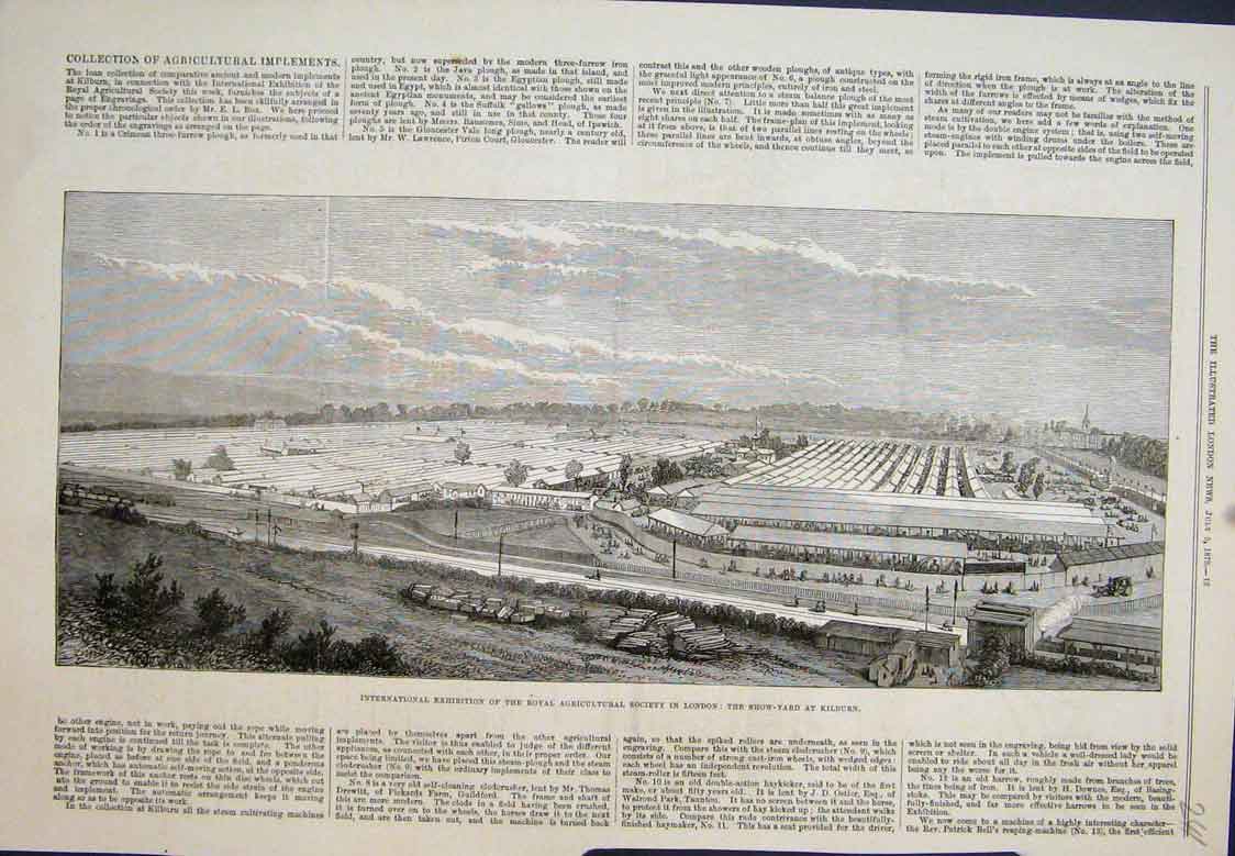 Original Old Antique Print Royal Agricutural Society Kilburn 1879 19th