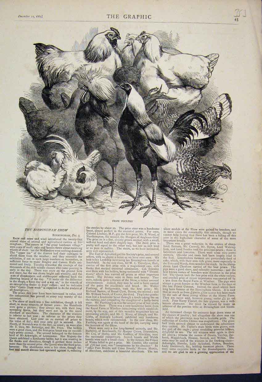 Original Old Antique Print Prize Poultry Birds Birmingham Show 1869 Victorian