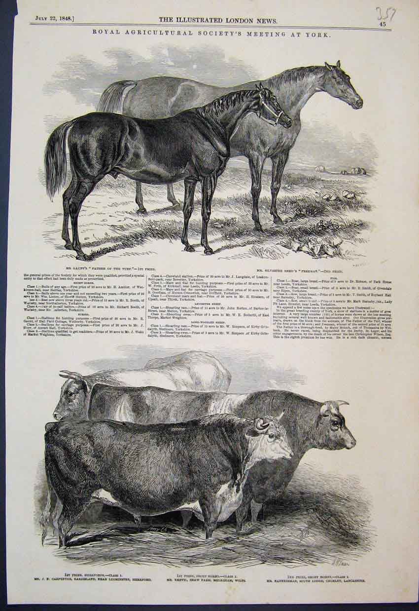 Original Old Antique Print Prize Horses Cattle York Meeting Royal Society 1848