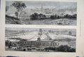 Original Old Antique Print Reading South Hill Show Yards Agricultural Show 1882