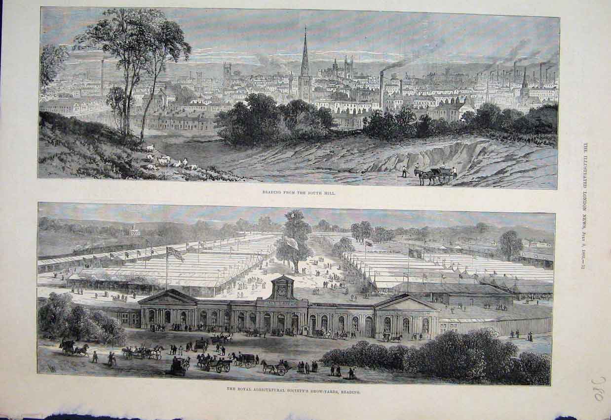 Original Old Antique Print Reading South Hill Show Yards Agricultural Show 1882
