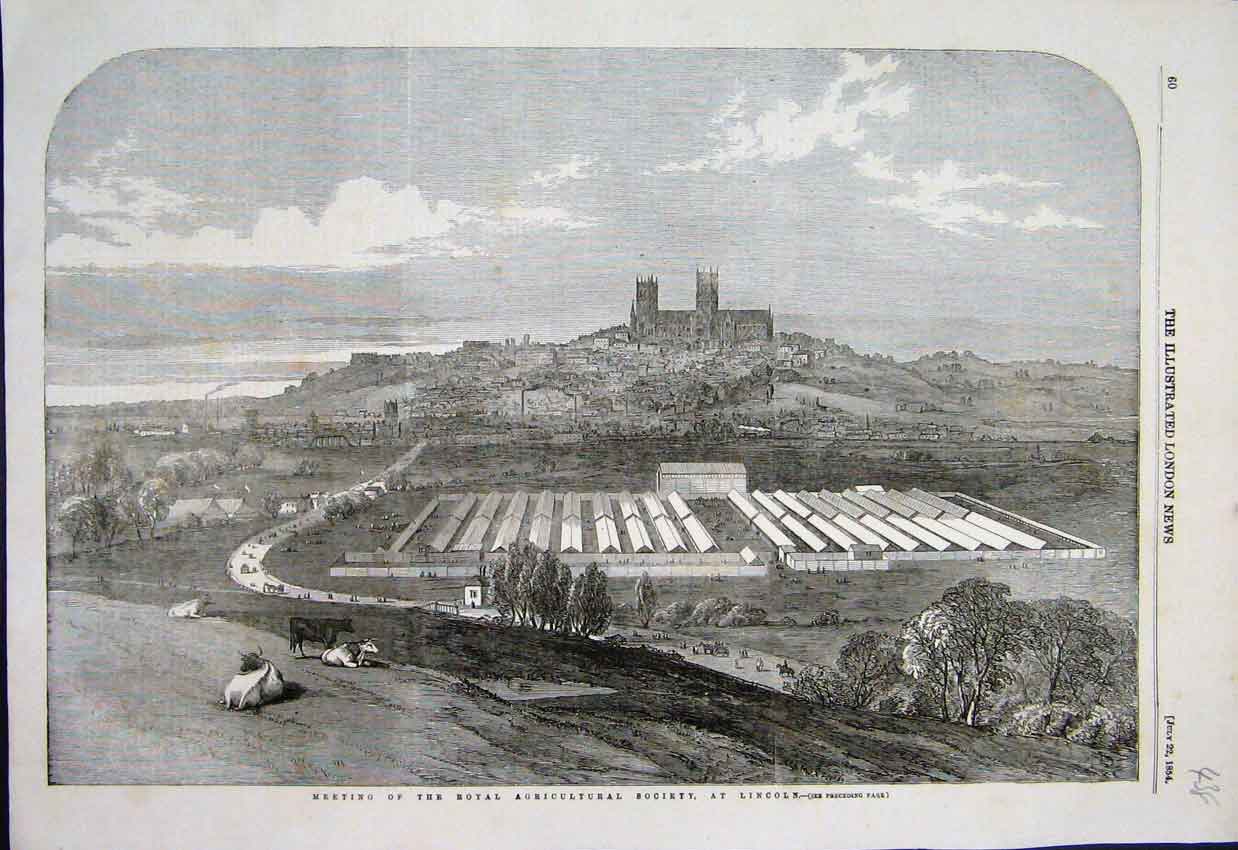 Original Old Antique Print Meeting Royal Agricultural Show Lincoln 1854 19th