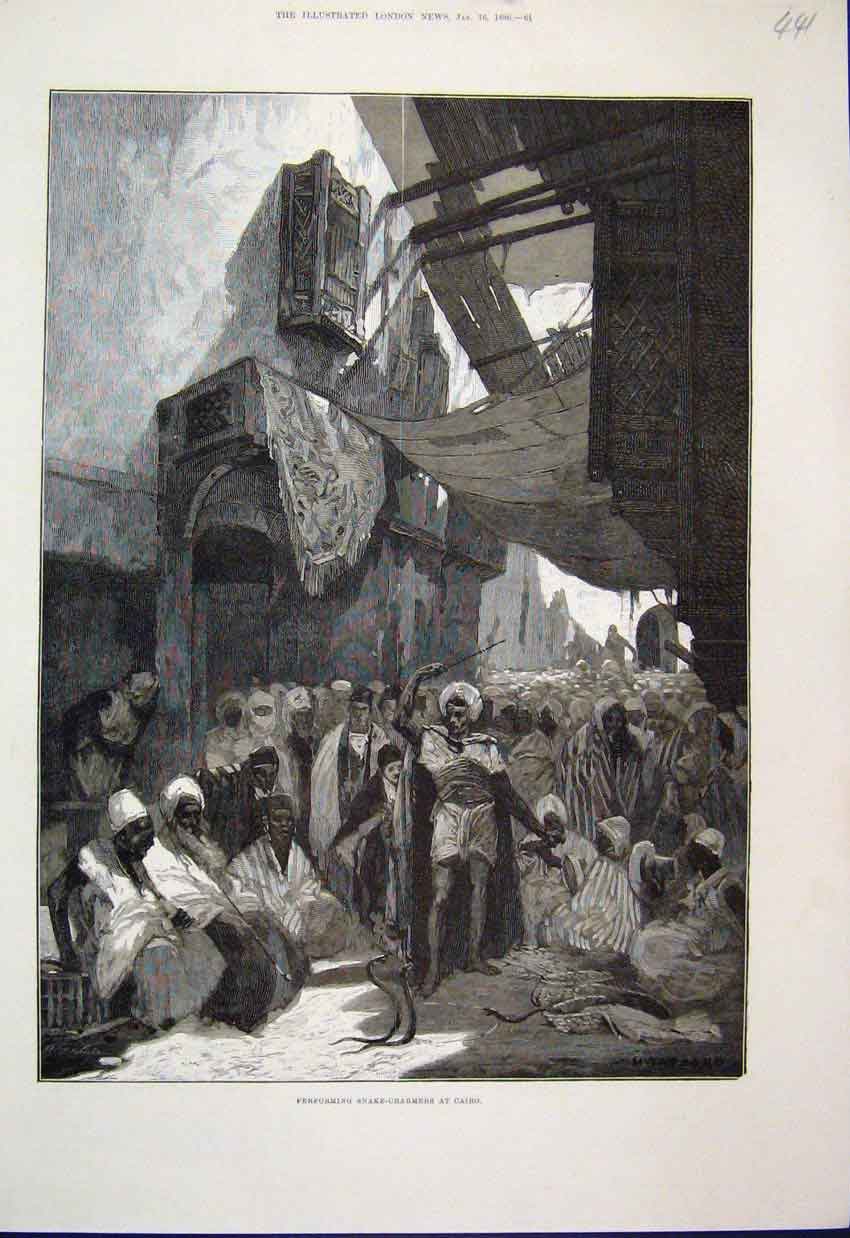 Original Old Antique Print Performing Snake Charmer Cairo 1886 Fine Art 19th
